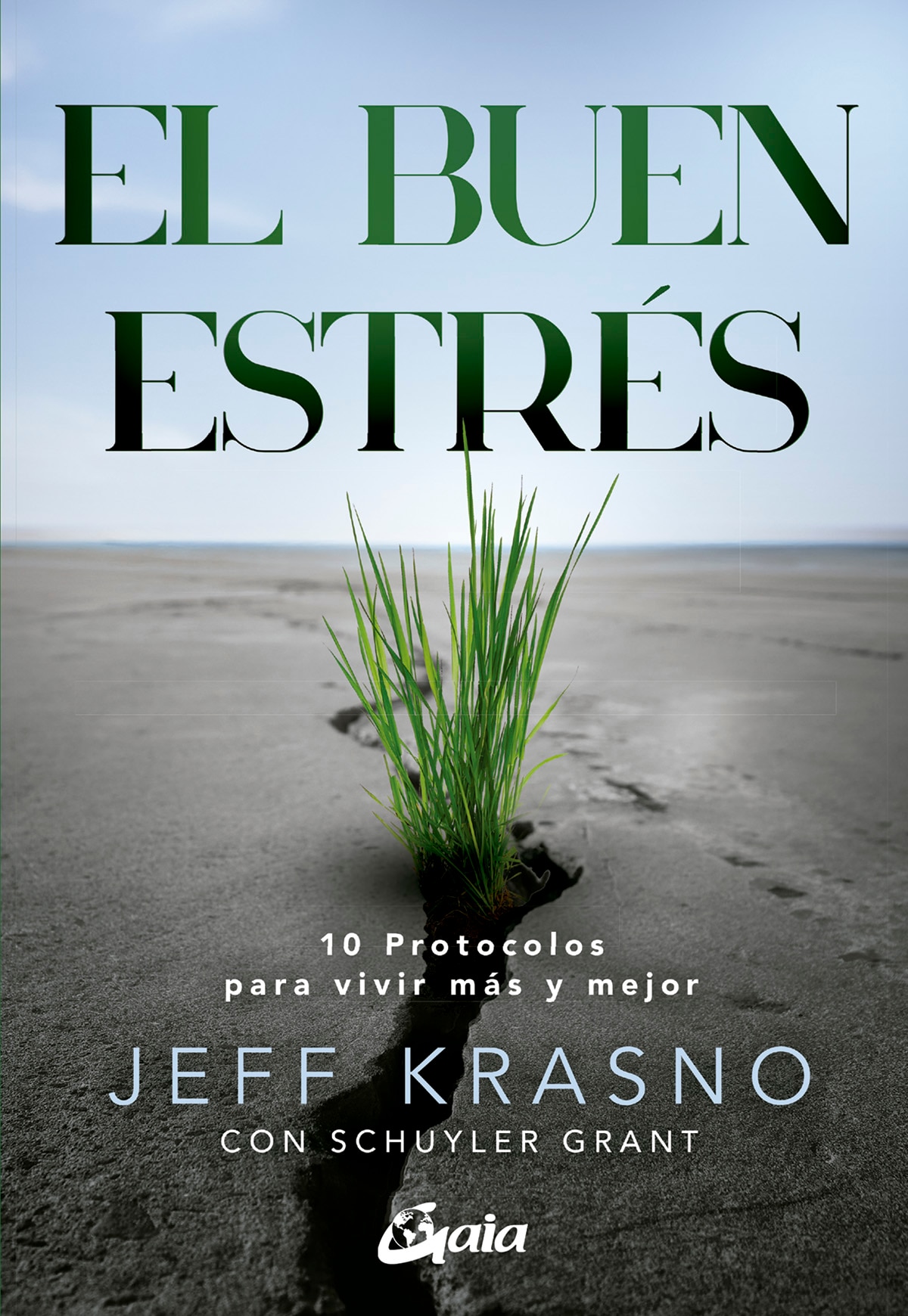 Imagem 0 de EL BUEN ESTRÉS  (Capa Mole com Lapelas)