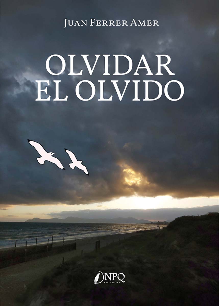Olvidar el olvido (Capa mole com abas) 1