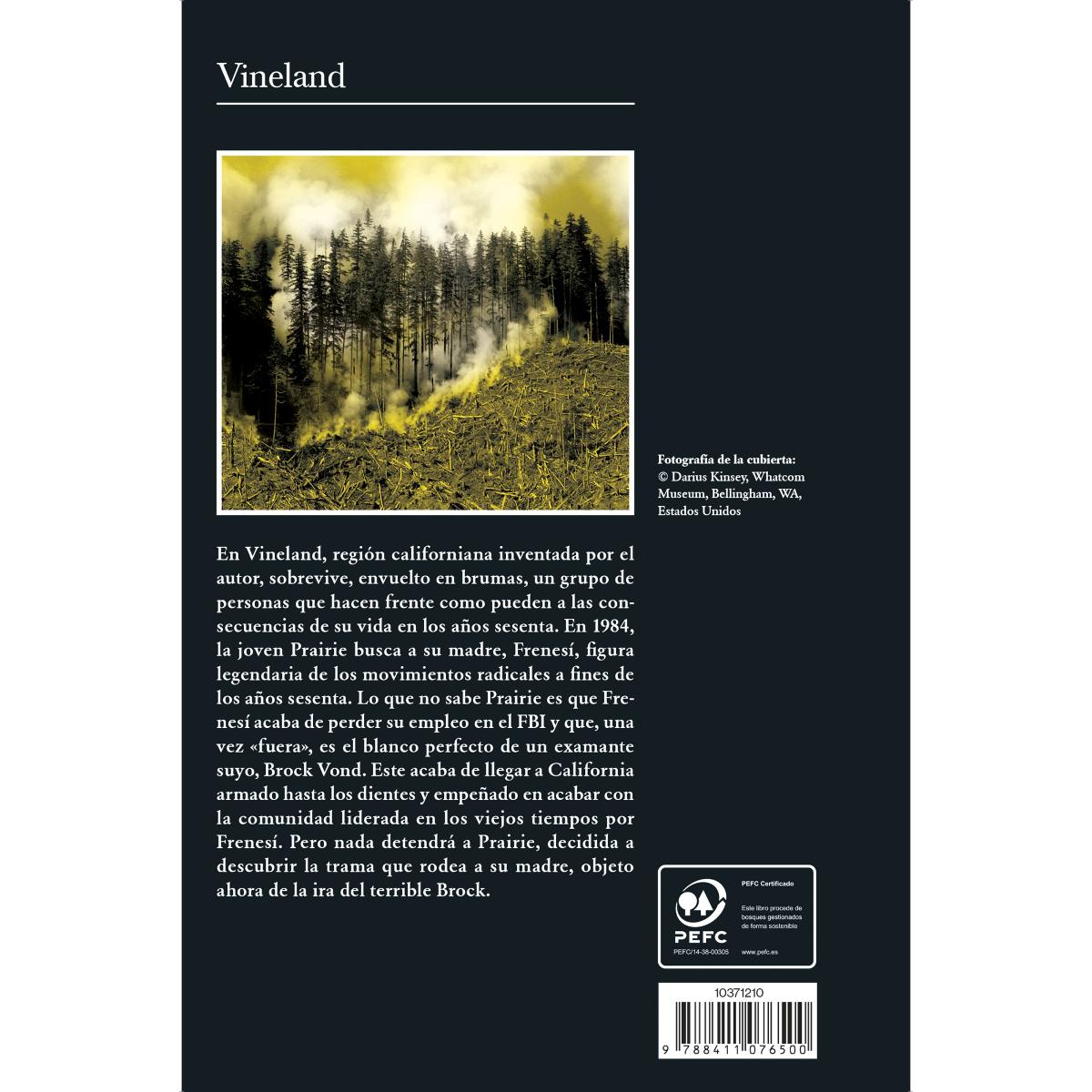 Vineland (Capa mole com abas) 2
