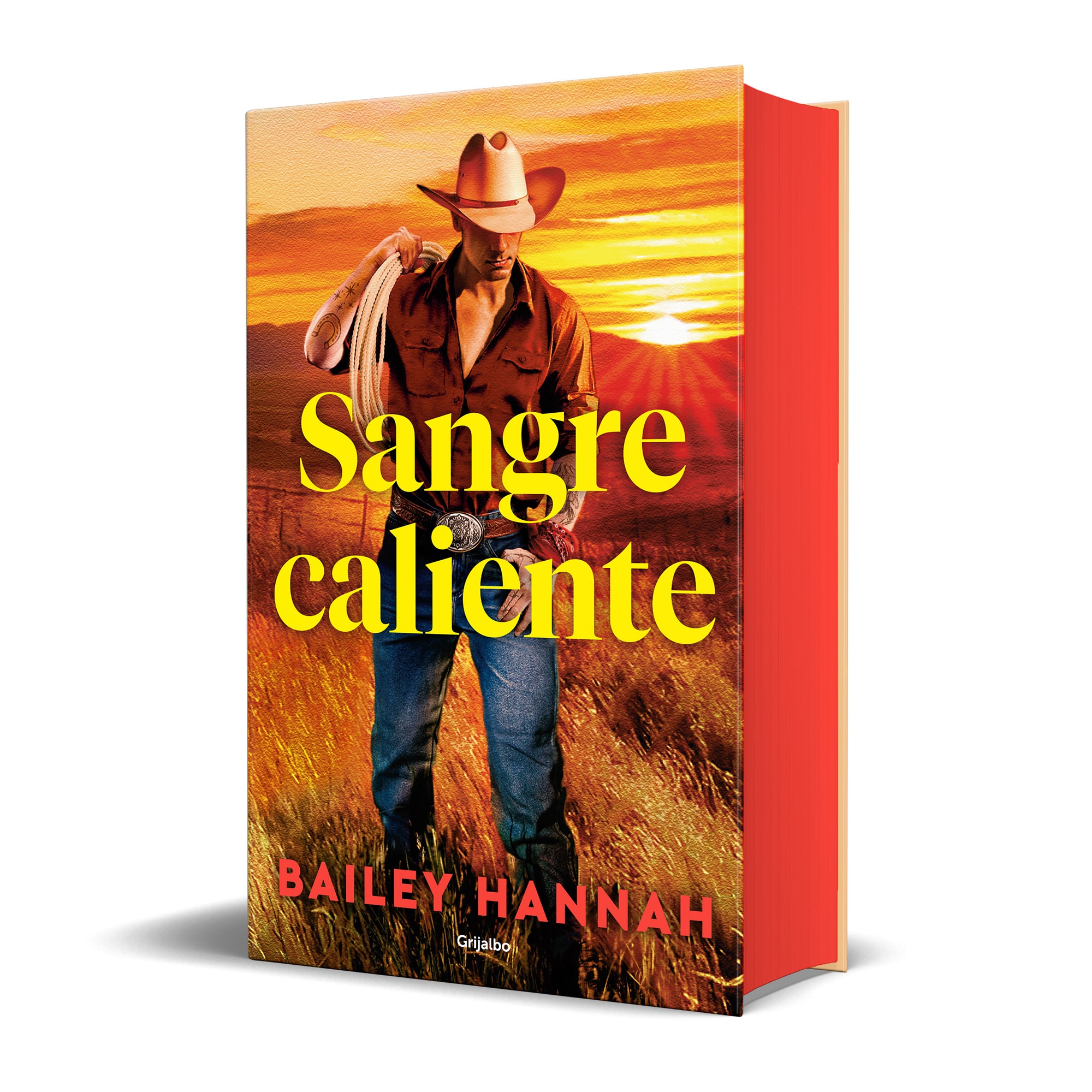 Imagem 0 de Sangre caliente (El rancho Wells 2) (Capa mole)
