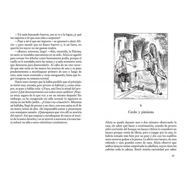 Alicia en el país de las maravillas (edición especial en tapa dura) (Capa dura) 5