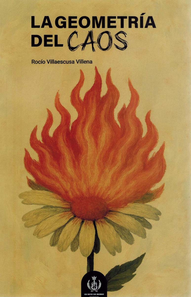 Imagem 0 de La geometría del caos