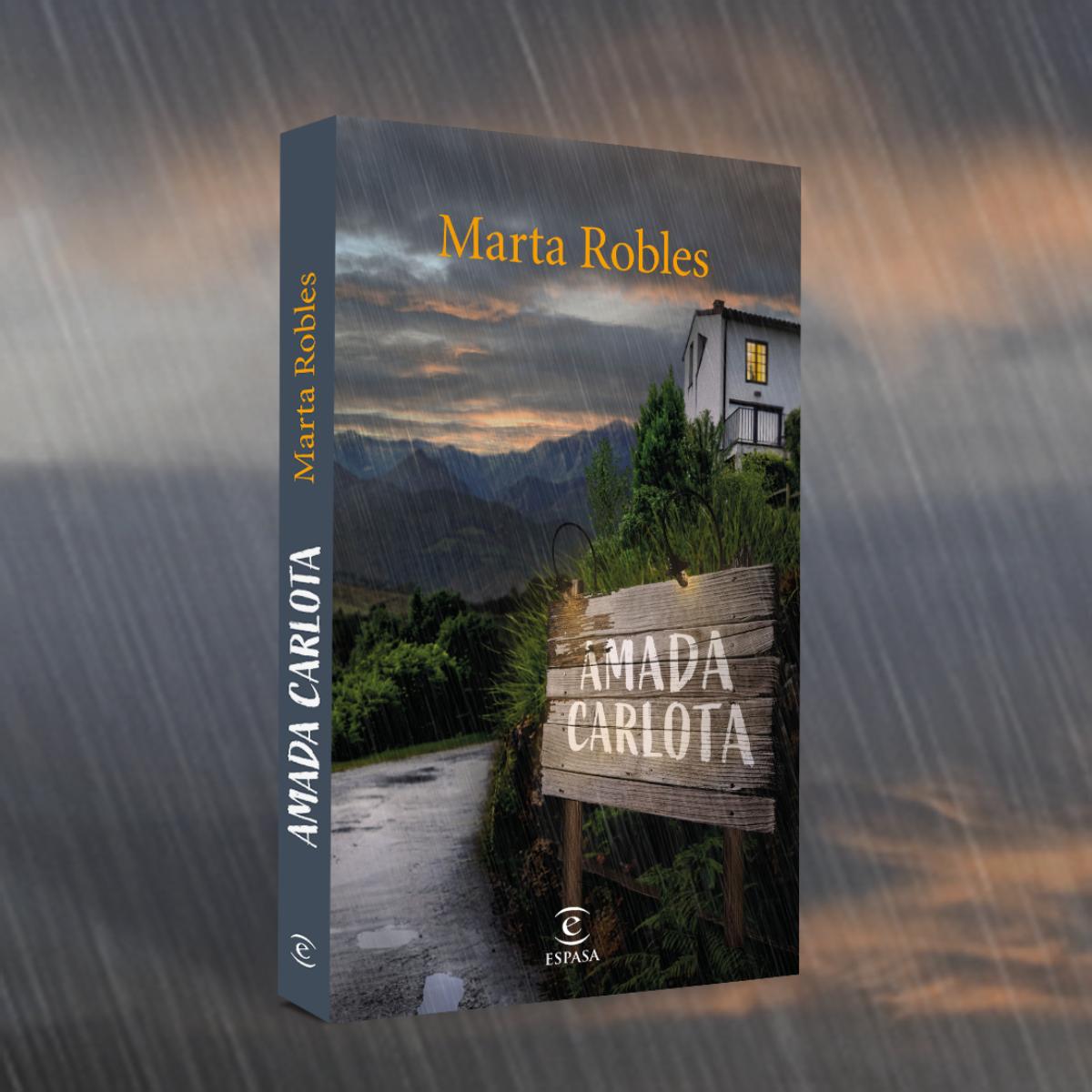 Amada Carlota (Capa mole com abas) 3