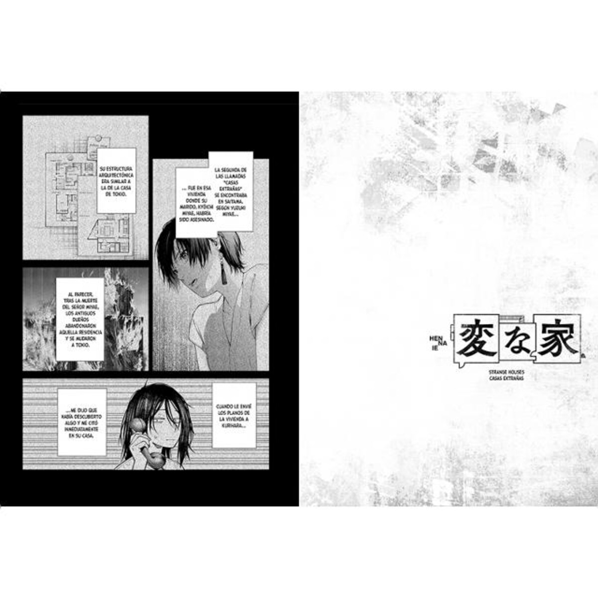 Strange Houses 1 (Capa mole) 3