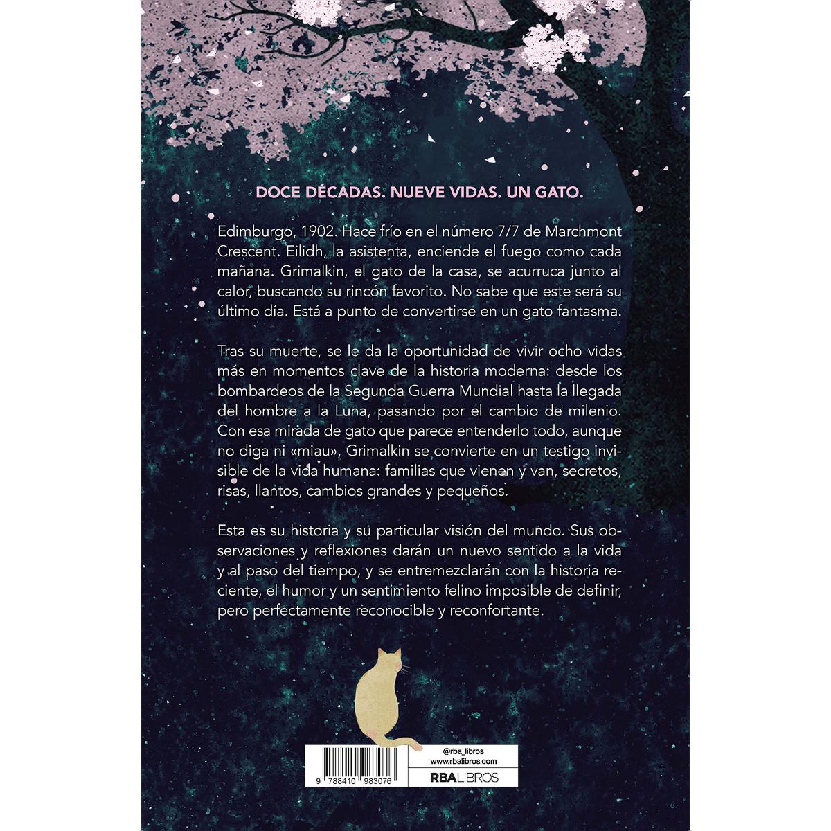 El gato fantasma (Capa mole) 2