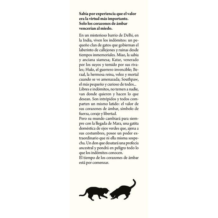 Los gatos del corazón de ámbar 2