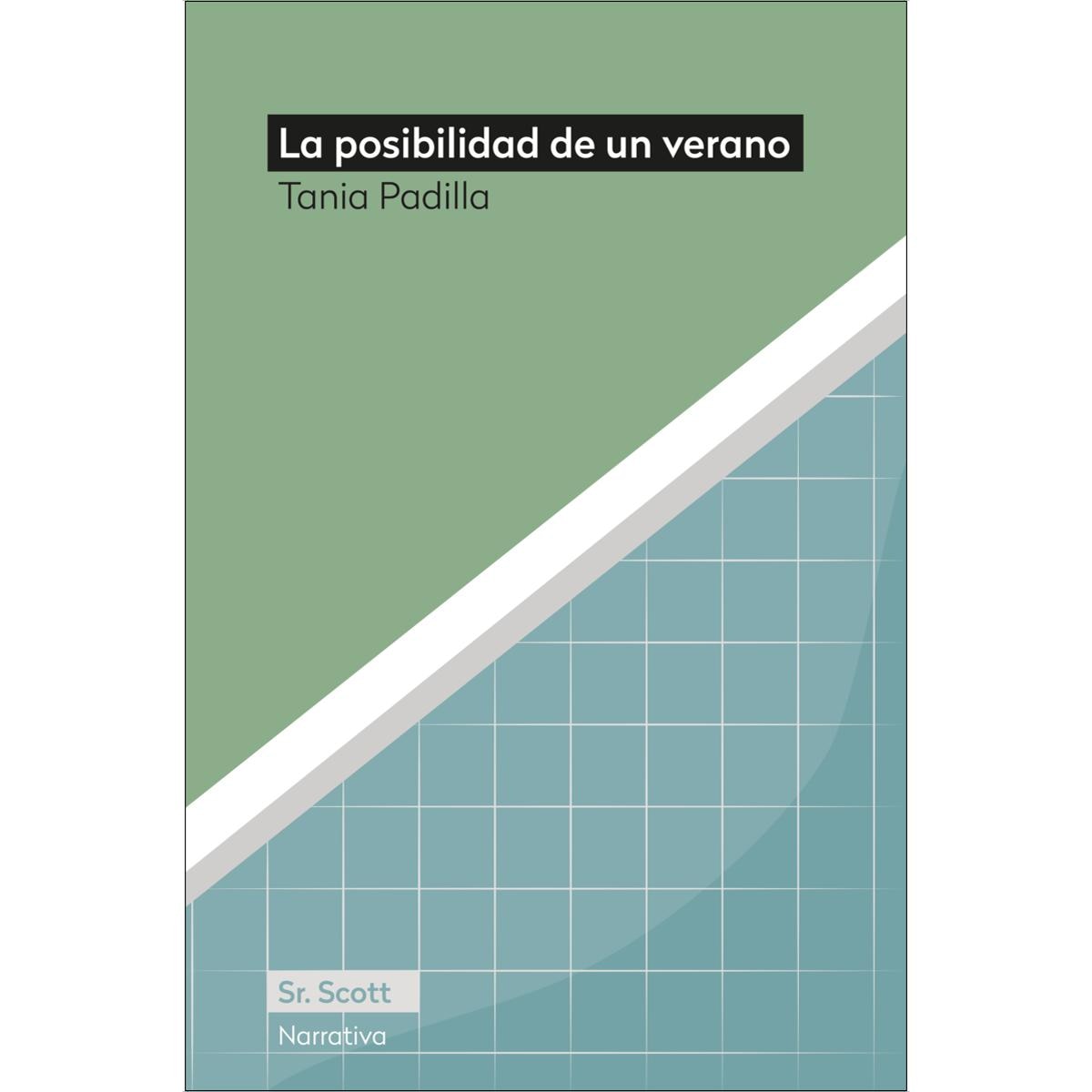 Imagem 0 de La posibilidad de un verano (Capa mole)