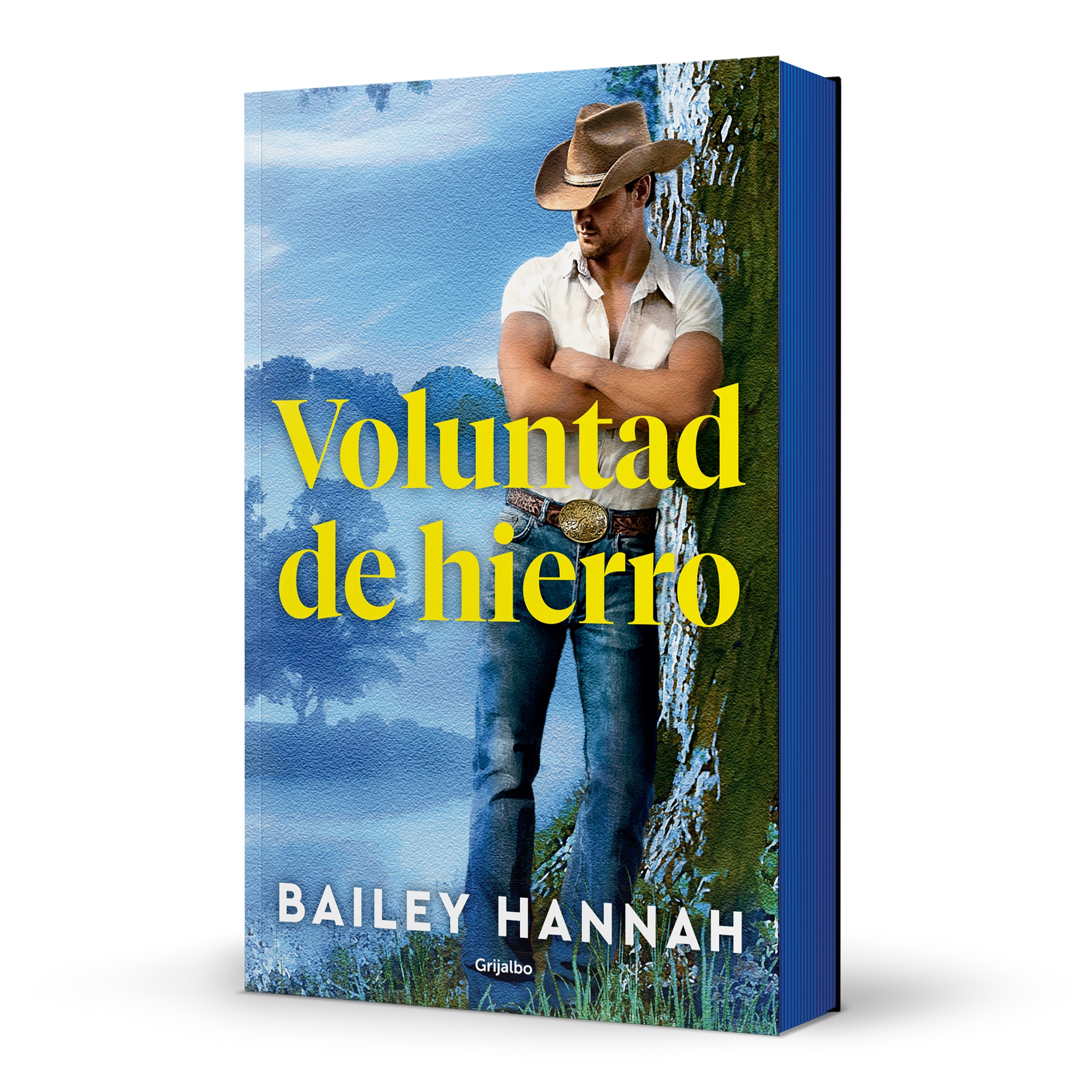 Imagen 0 de Voluntad de hierro (El rancho Wells 3)  (Tapa blanda)