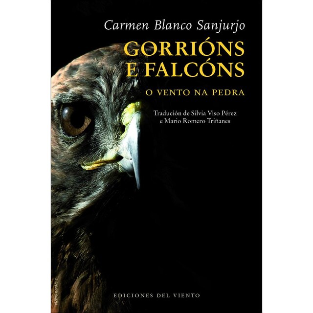 Imagem 0 de Gorrións e Falcóns (Capa mole com abas)