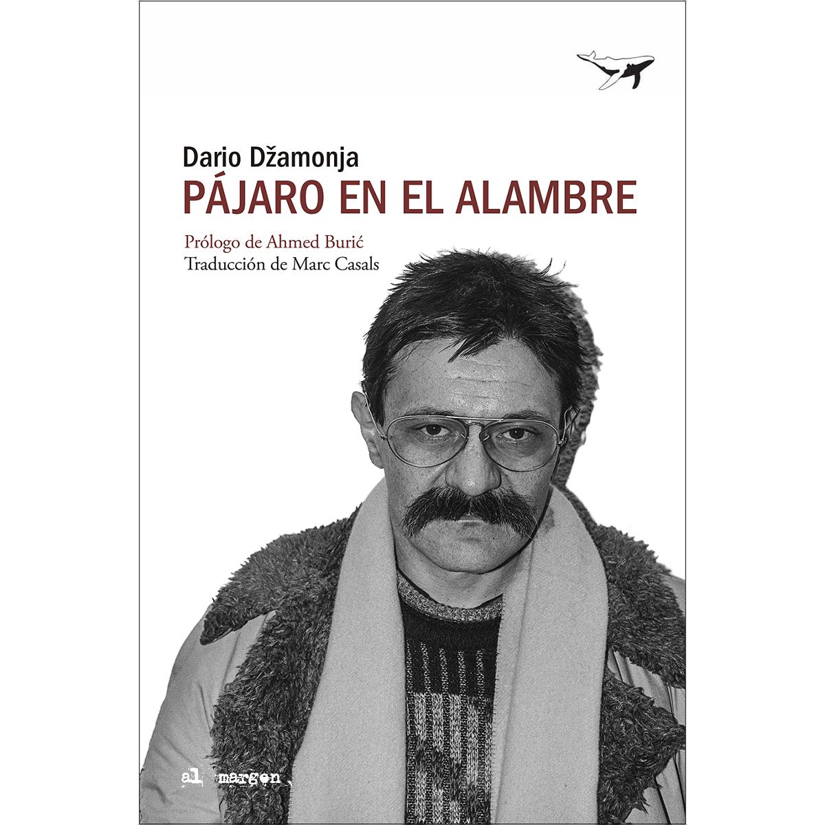 Pájaro en el alambre 1
