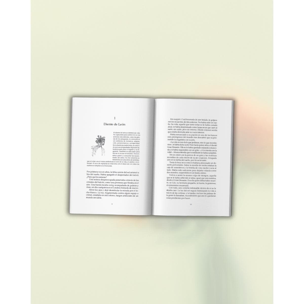 El jardín dormido 4