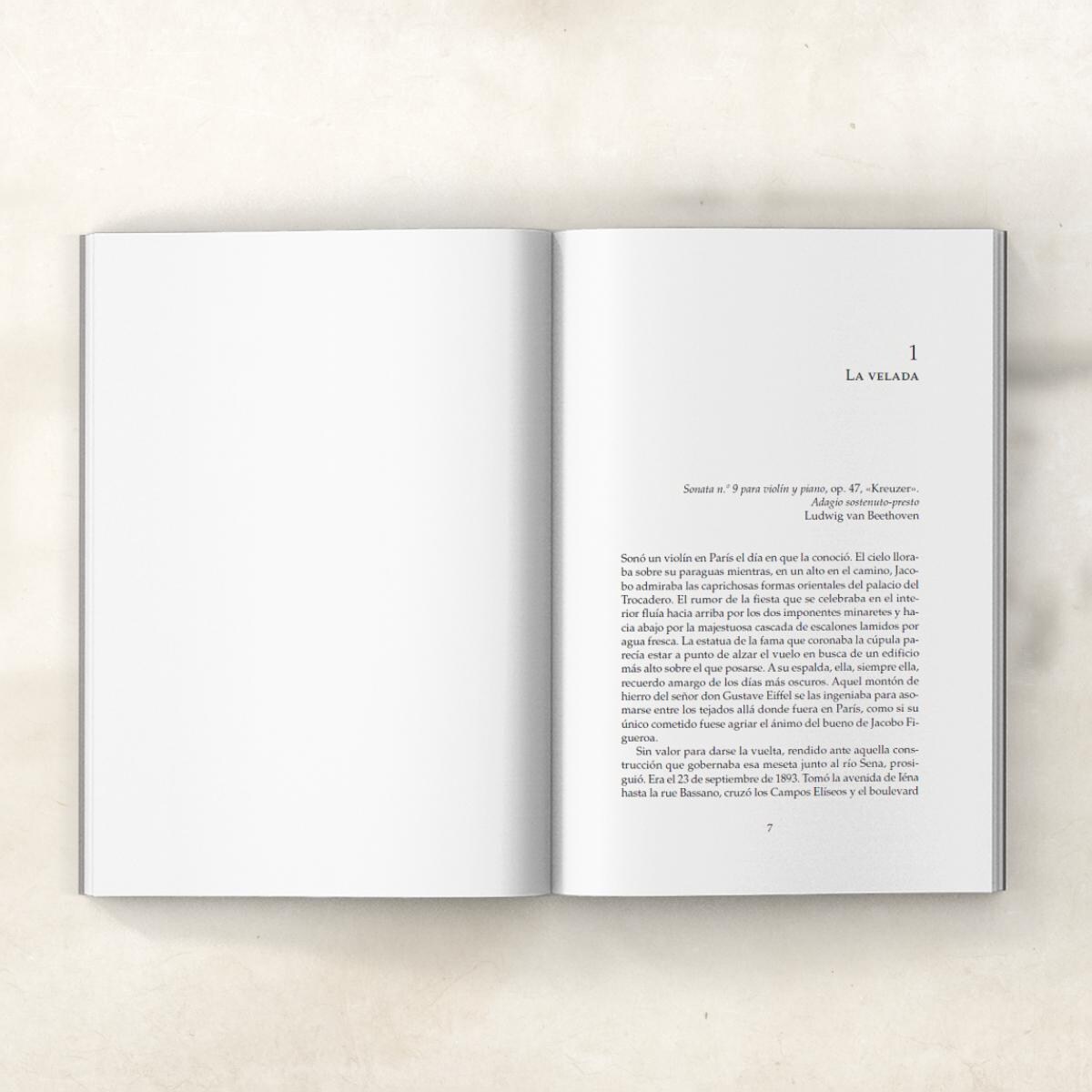 Sonó un violín en París (Bolso) 7