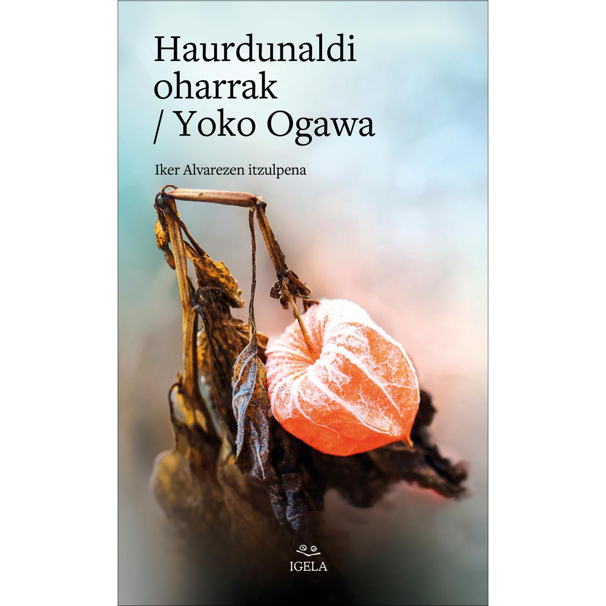 Imagem 0 de Haurdunaldi oharrak