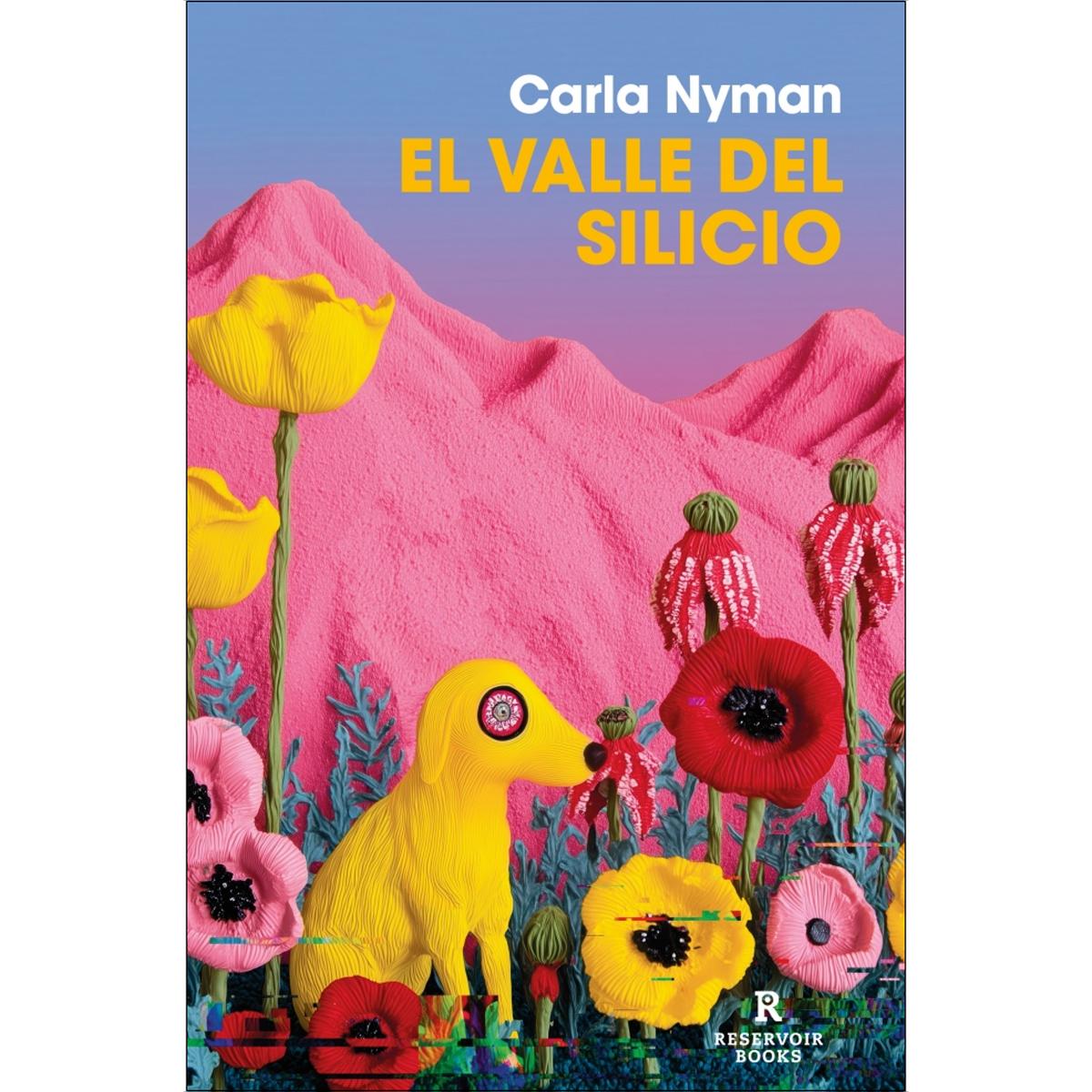 El Valle del Silicio (Capa mole) 1
