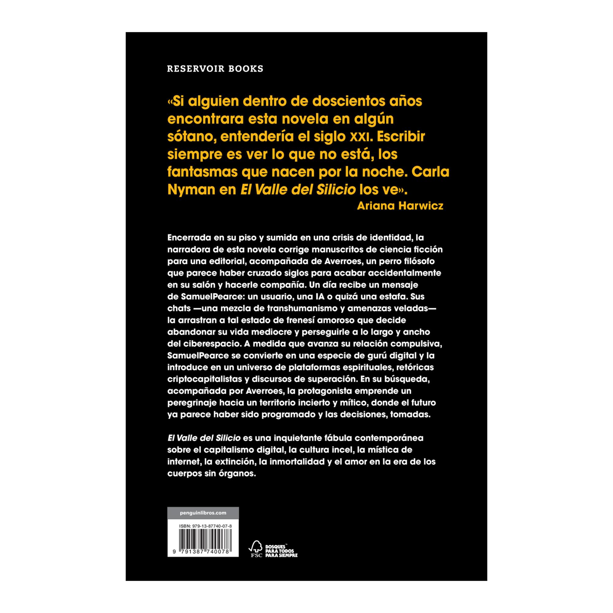 El Valle del Silicio (Capa mole) 2
