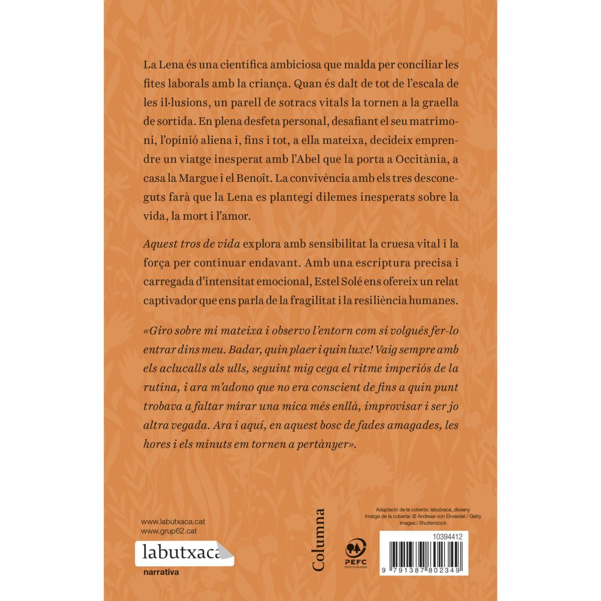 Aquest tros de vida: Premi Ramon Llull (Bolso) 2