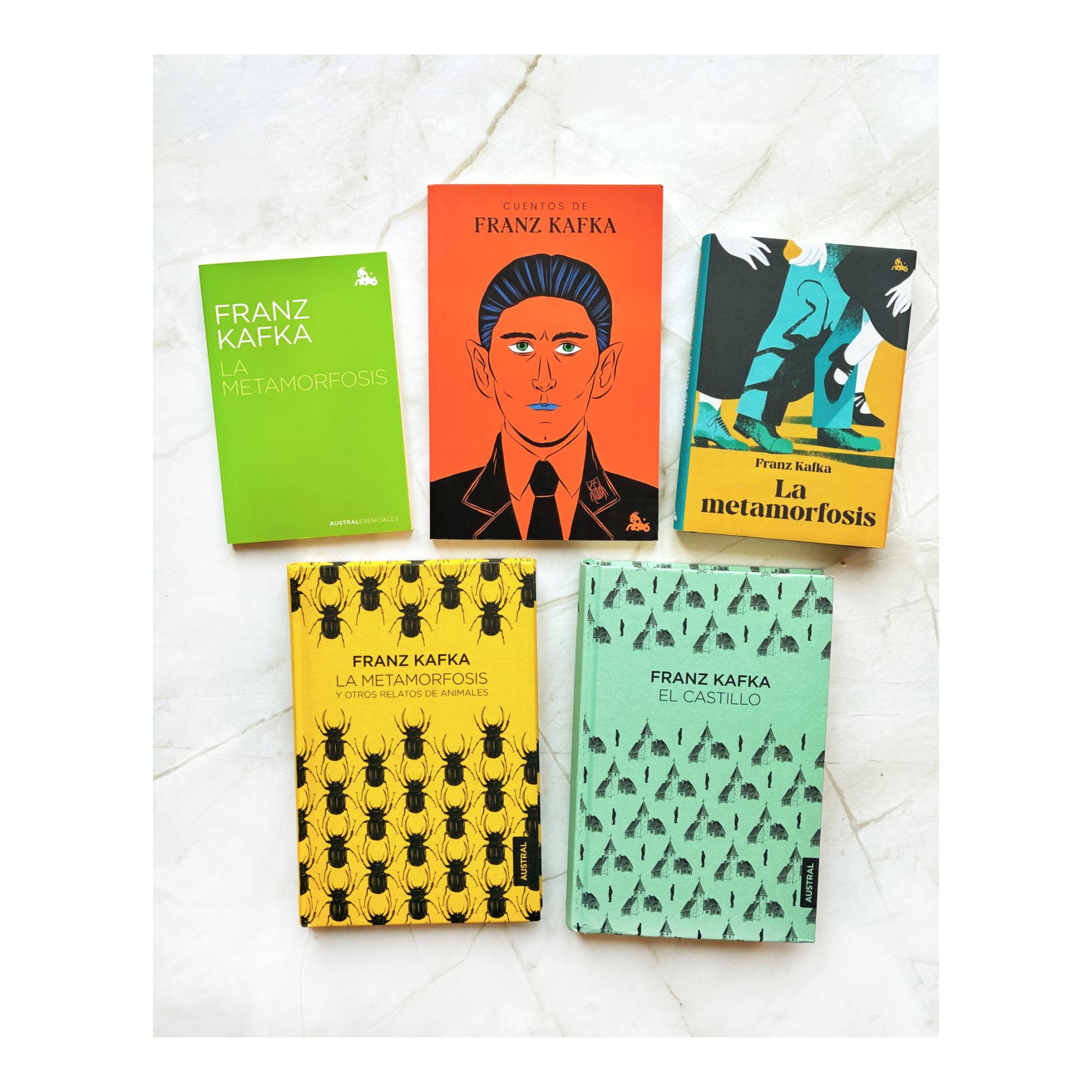 El castillo (Bolso) 4