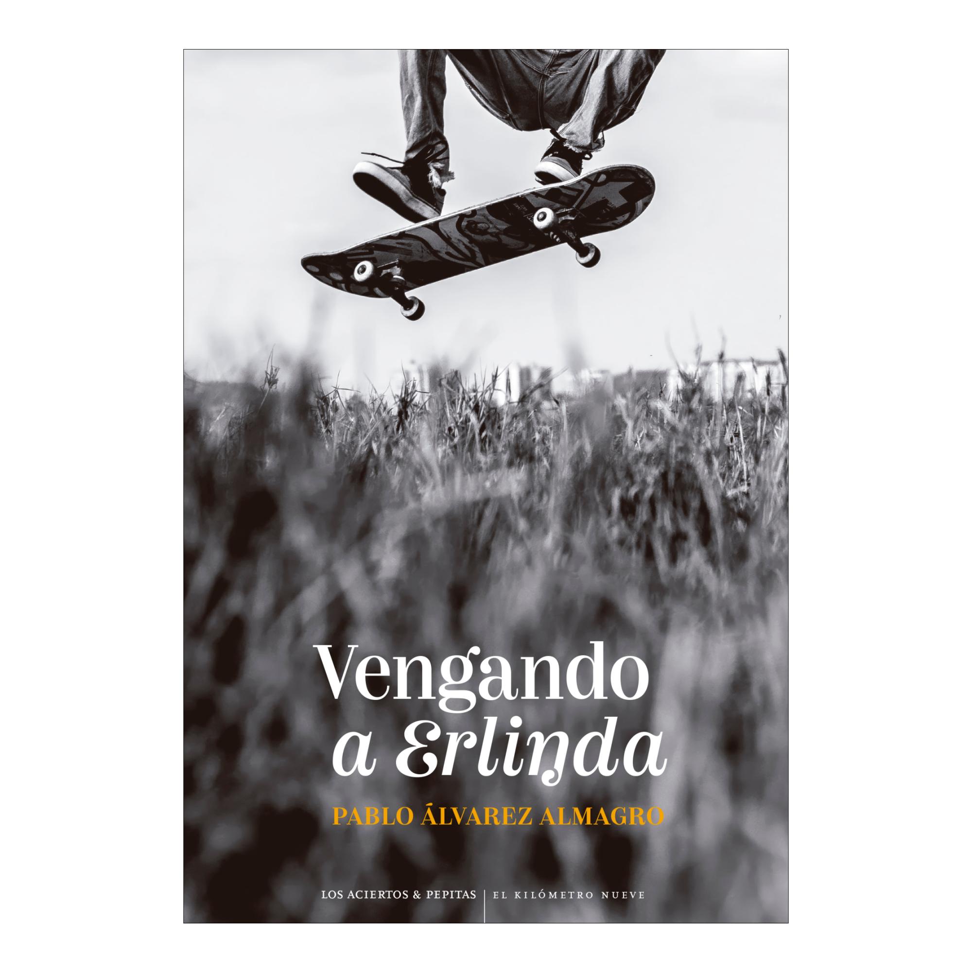 Imagem 0 de Vengando a Erlinda (Capa mole com abas)