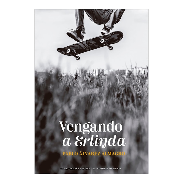 Imagem 0 de Vengando a Erlinda (Capa mole com abas)