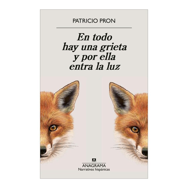 Imagem 0 de En todo hay una grieta y por ella entra la luz (Capa mole)