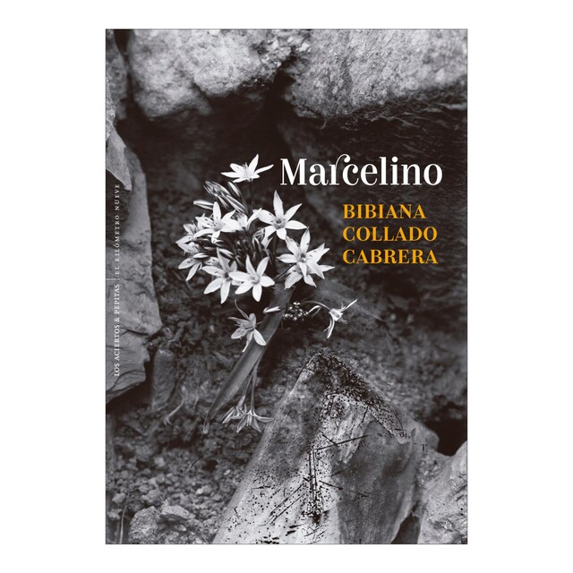 Marcelino (Tapa blanda)