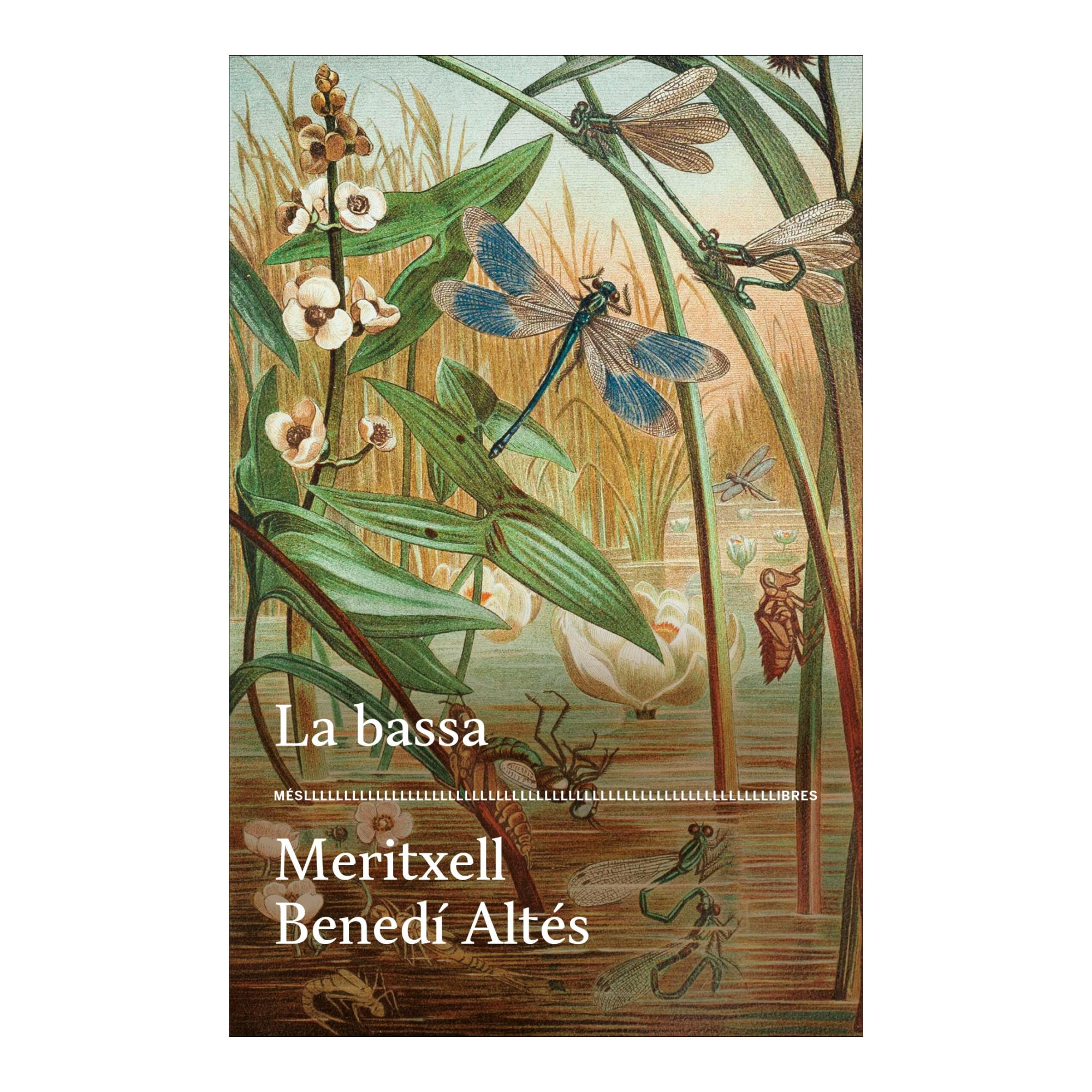 La bassa (Capa mole com abas) 1