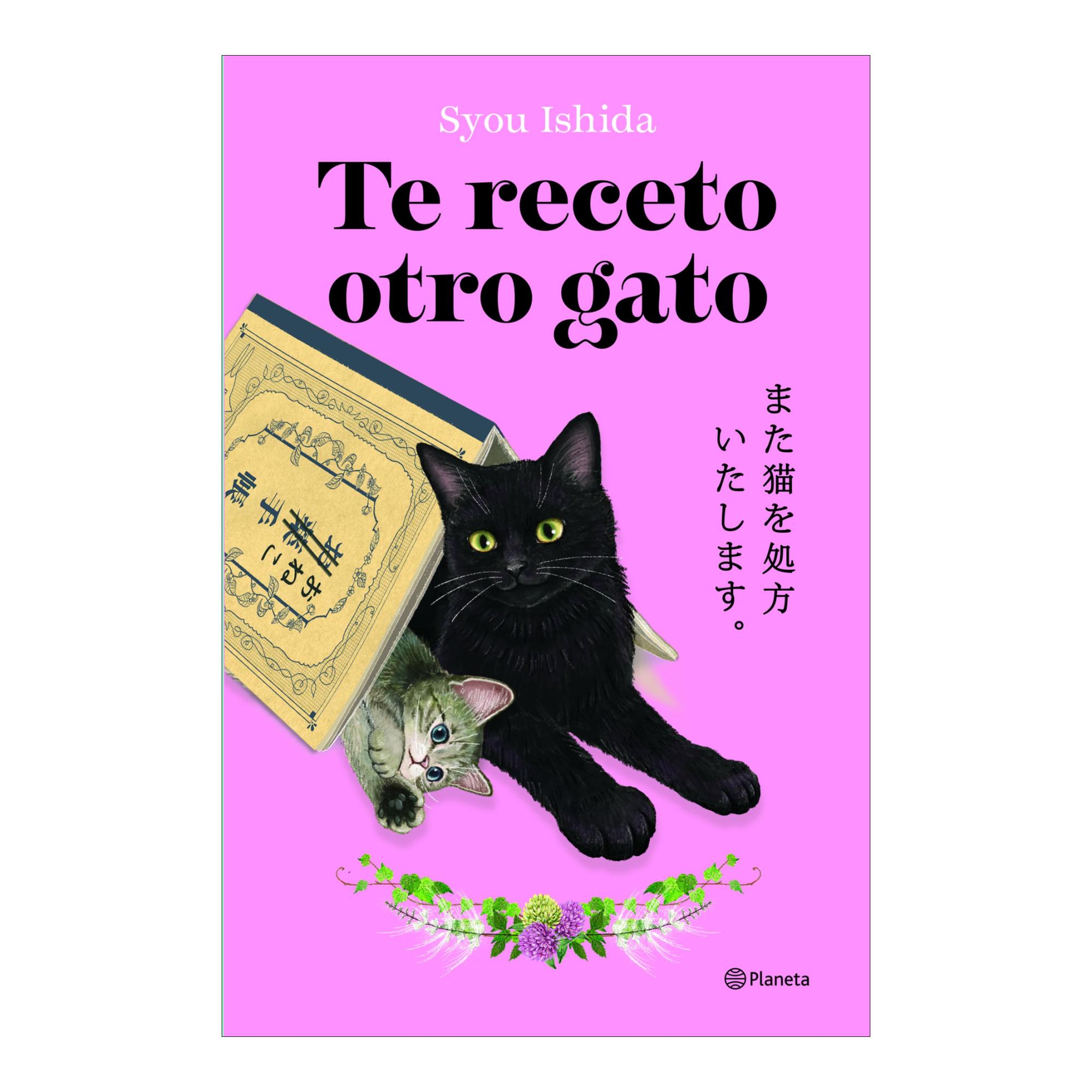 Imagem 0 de Te receto otro gato: ¡La deliciosa continuación del bestseller japonés que ha engatusado a lectores en todo el mundo! (Capa mole com abas)