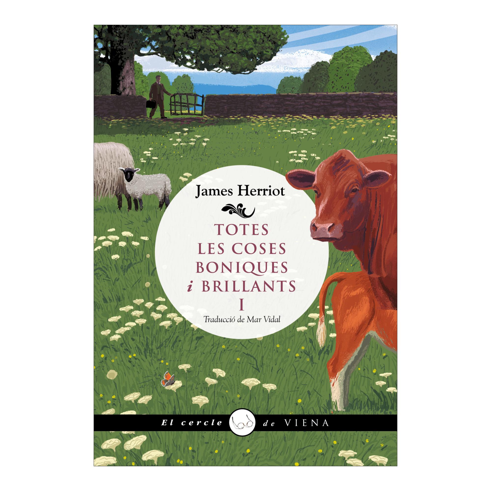 Imagem 0 de Totes les coses boniques i brillants I (Capa mole com abas)