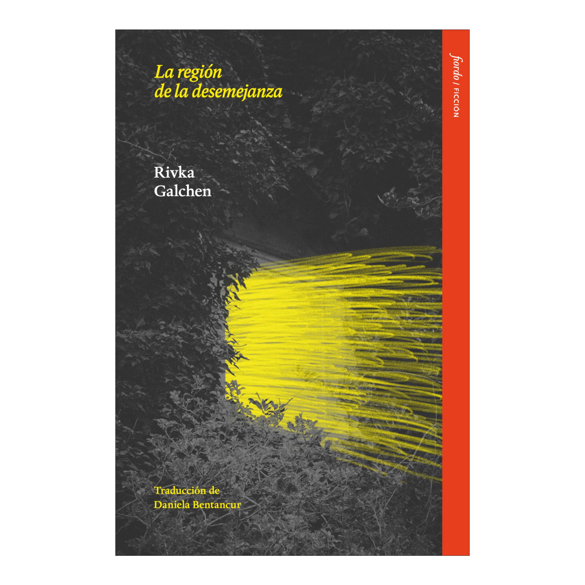 Imagem 0 de La region de la desemejanza