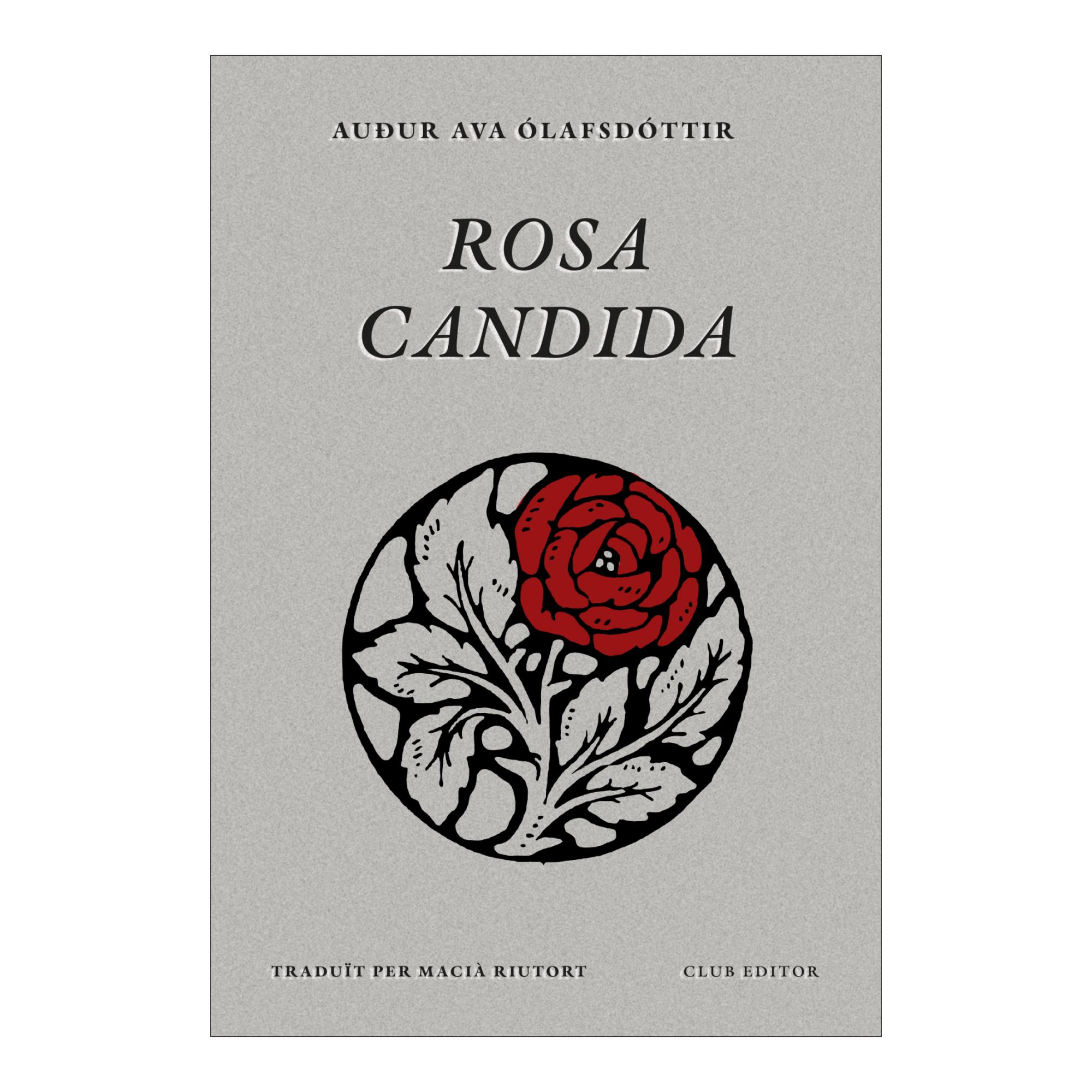 Imagem 0 de Rosa candida