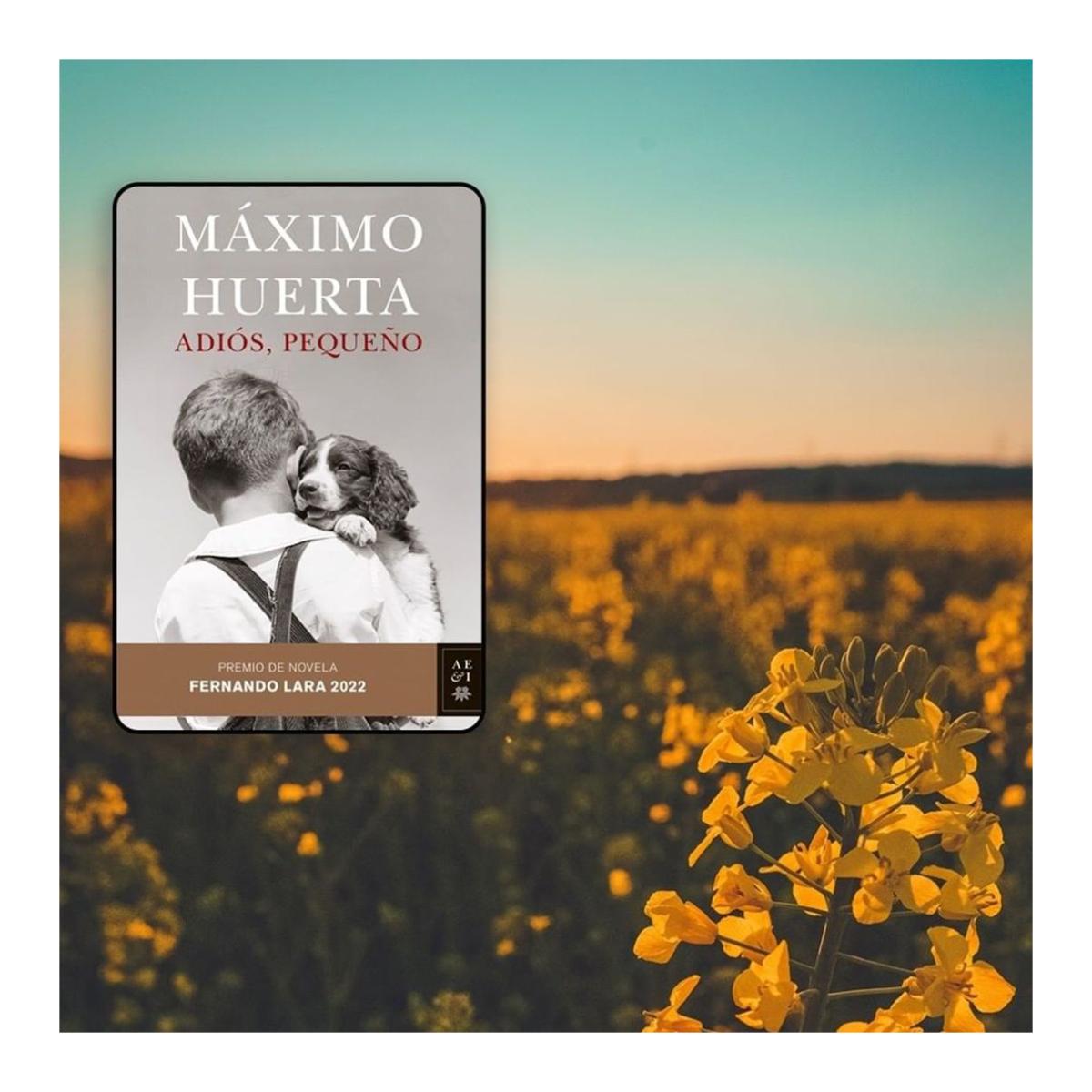ADIÓS, PEQUEÑO  (Bolsillo Tapa blanda) 6
