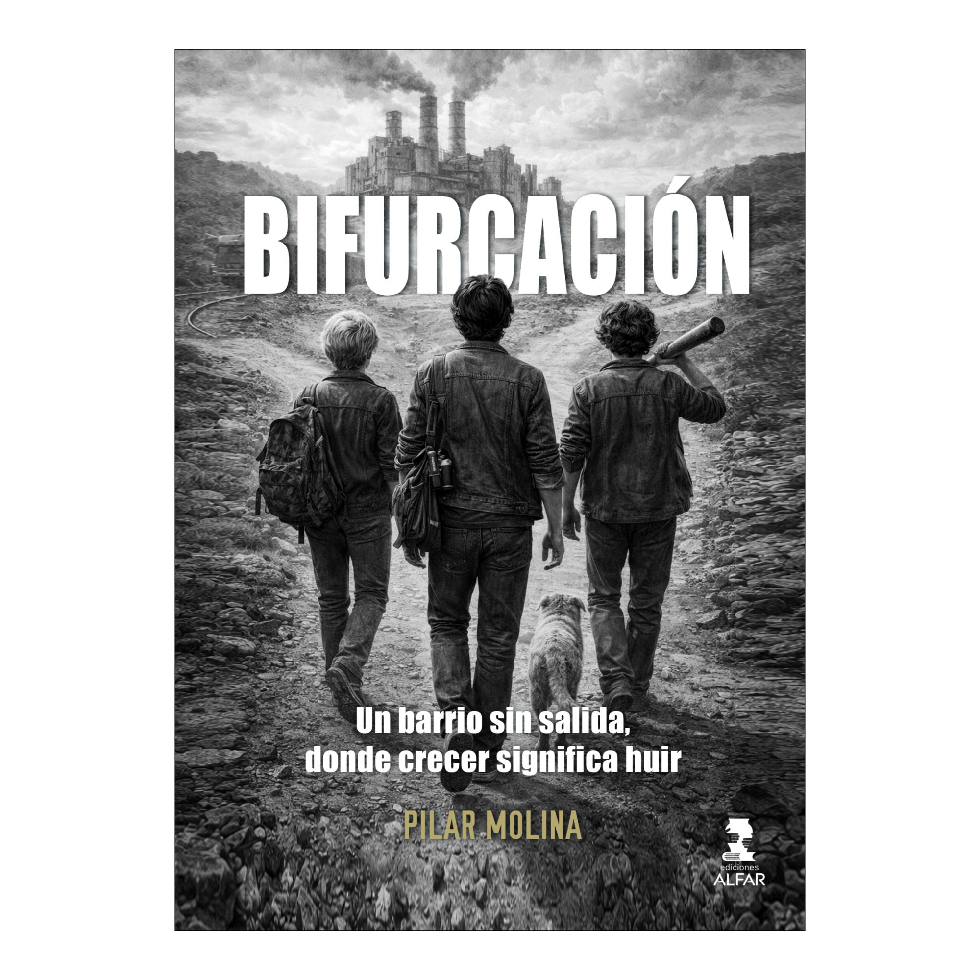 Imagen 0 de Bifurcacion