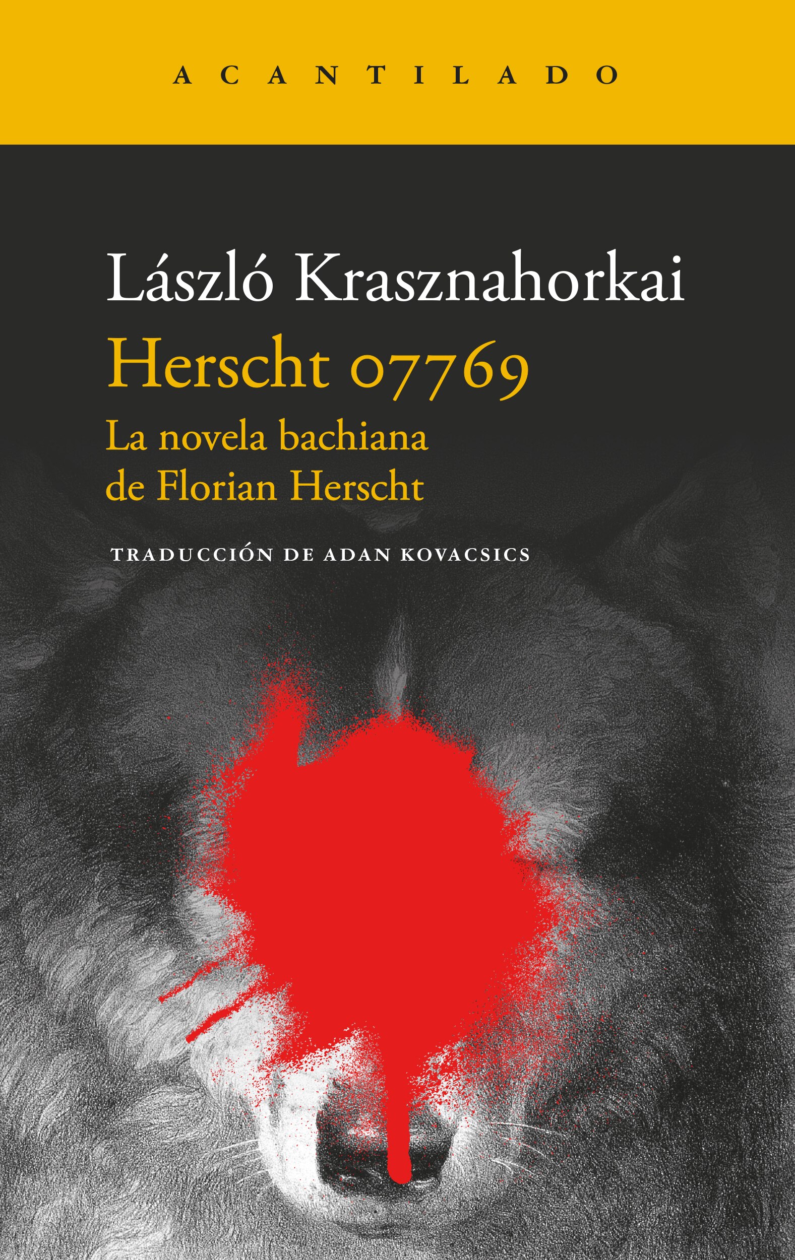 Imagem 0 de Herscht 07769