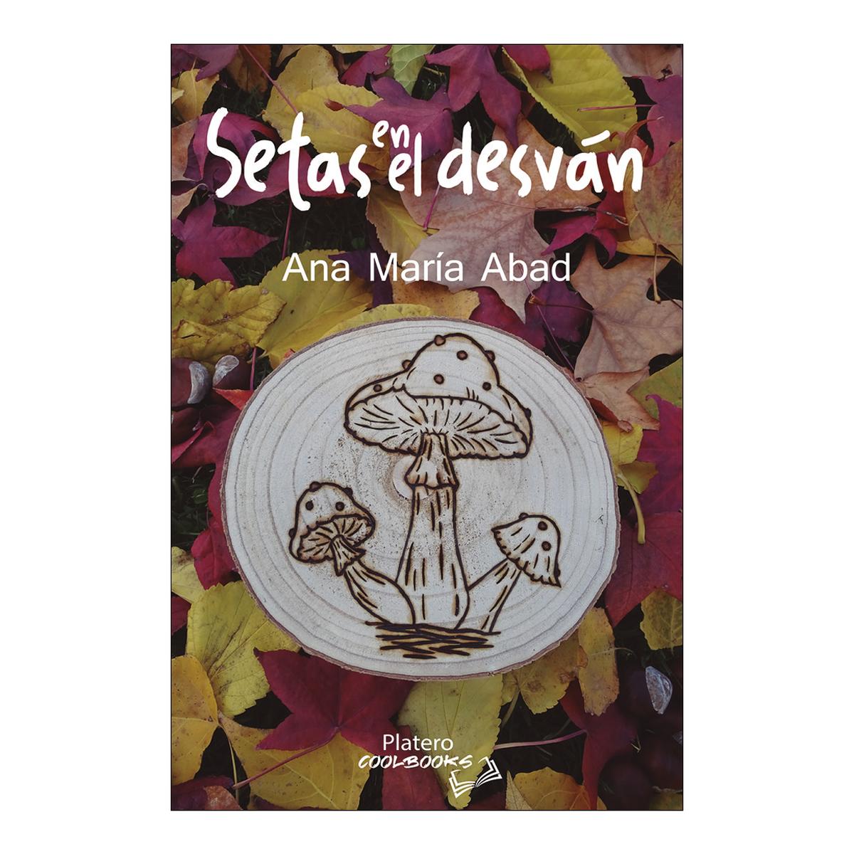 Imagem 0 de Setas en el desvan