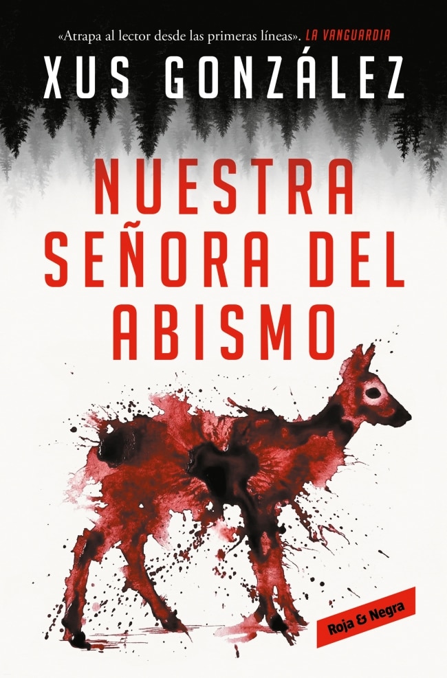 Imagem 0 de NUESTRA SEÑORA DEL ABISMO  (Capa Mole)