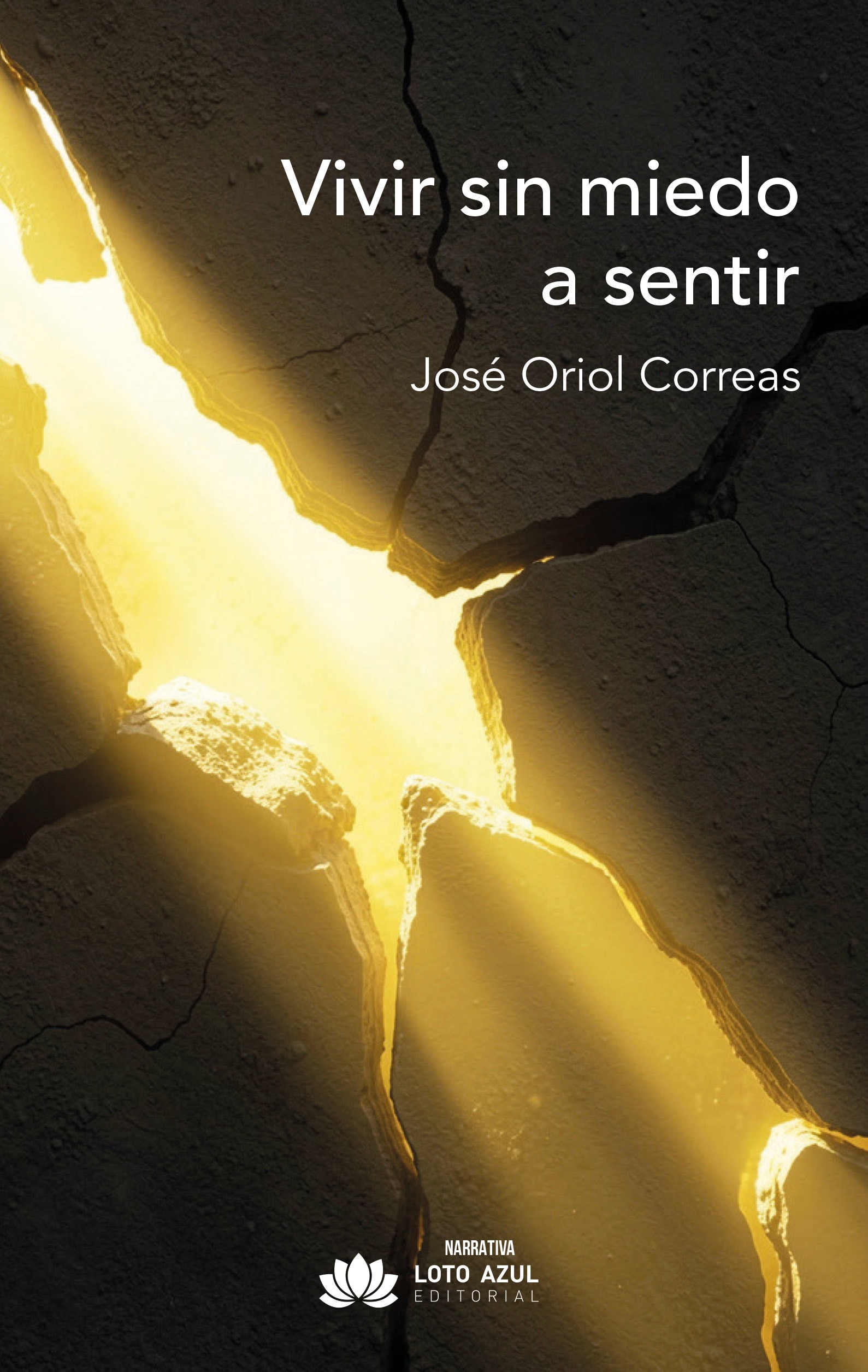 Imagem 0 de VIVIR SIN MIEDO A SENTIR (Capa Mole)