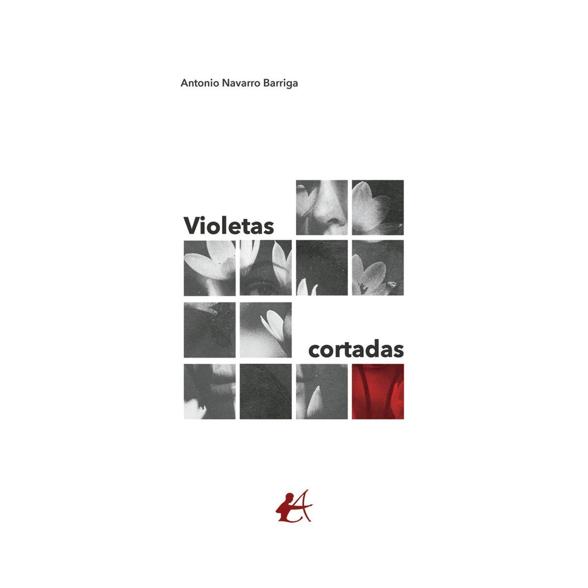 Imagen 0 de Violetas cortadas