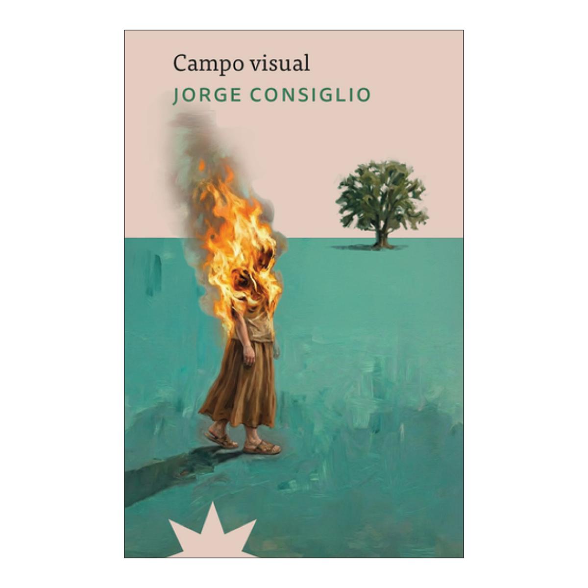 Imagem 0 de CAMPO VISUAL  (Capa Mole)