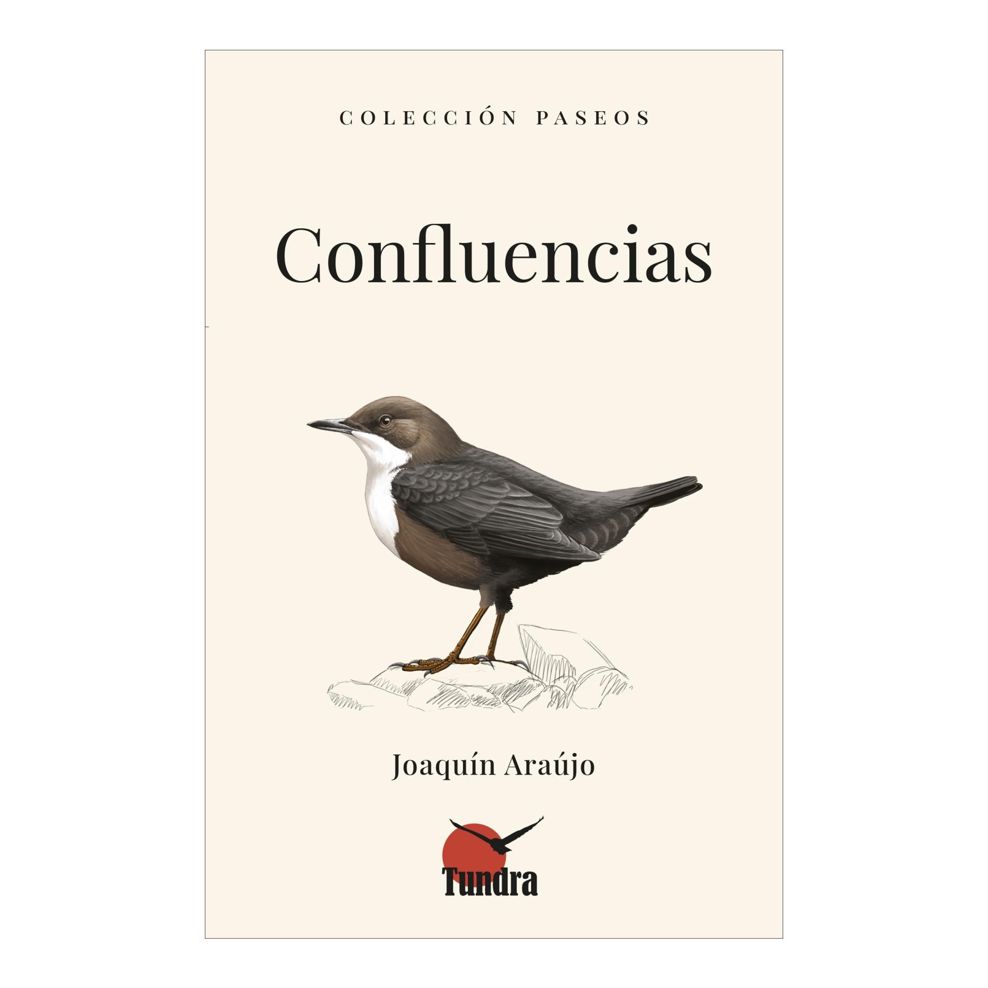 Imagen 0 de Confluencias