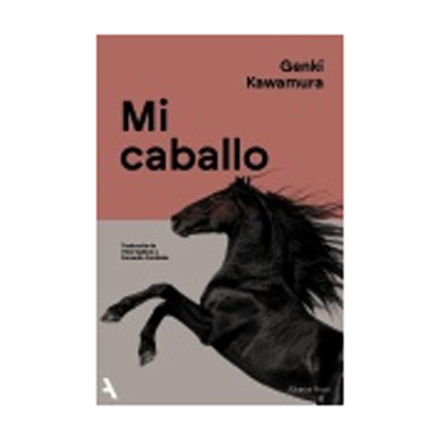 MI CABALLO  (Capa Mole com Abas) 2