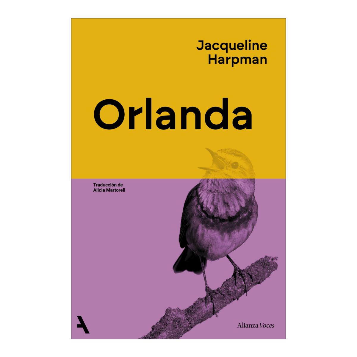 Imagem 0 de ORLANDA  (Capa Mole com Abas)