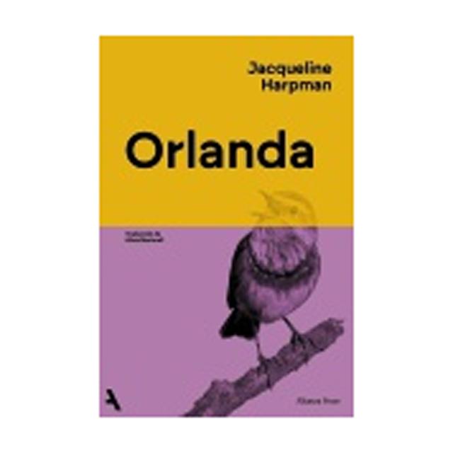 ORLANDA  (Capa Mole com Abas) 2