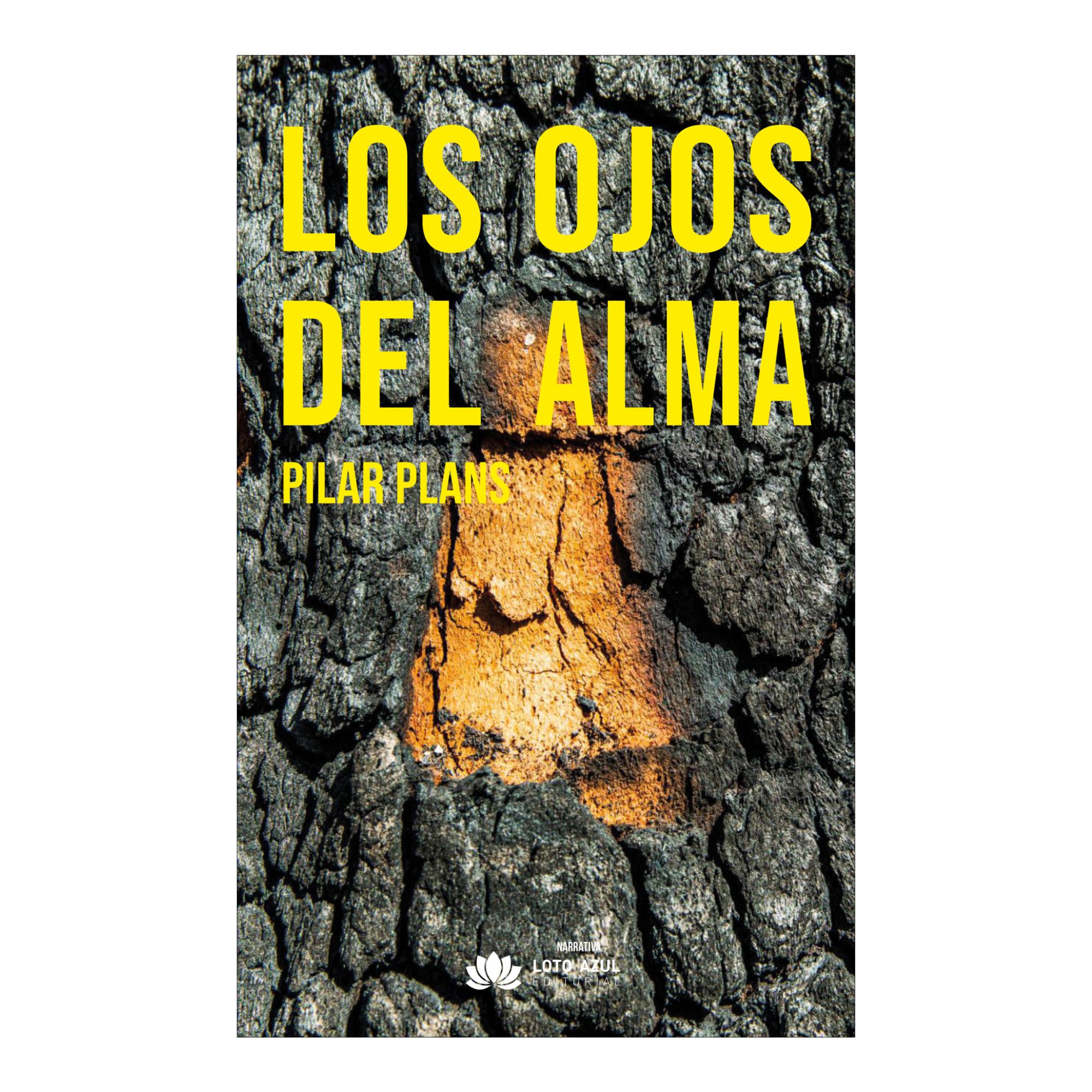 Imagen 0 de LOS OJOS DEL ALMA (Tapa blanda)