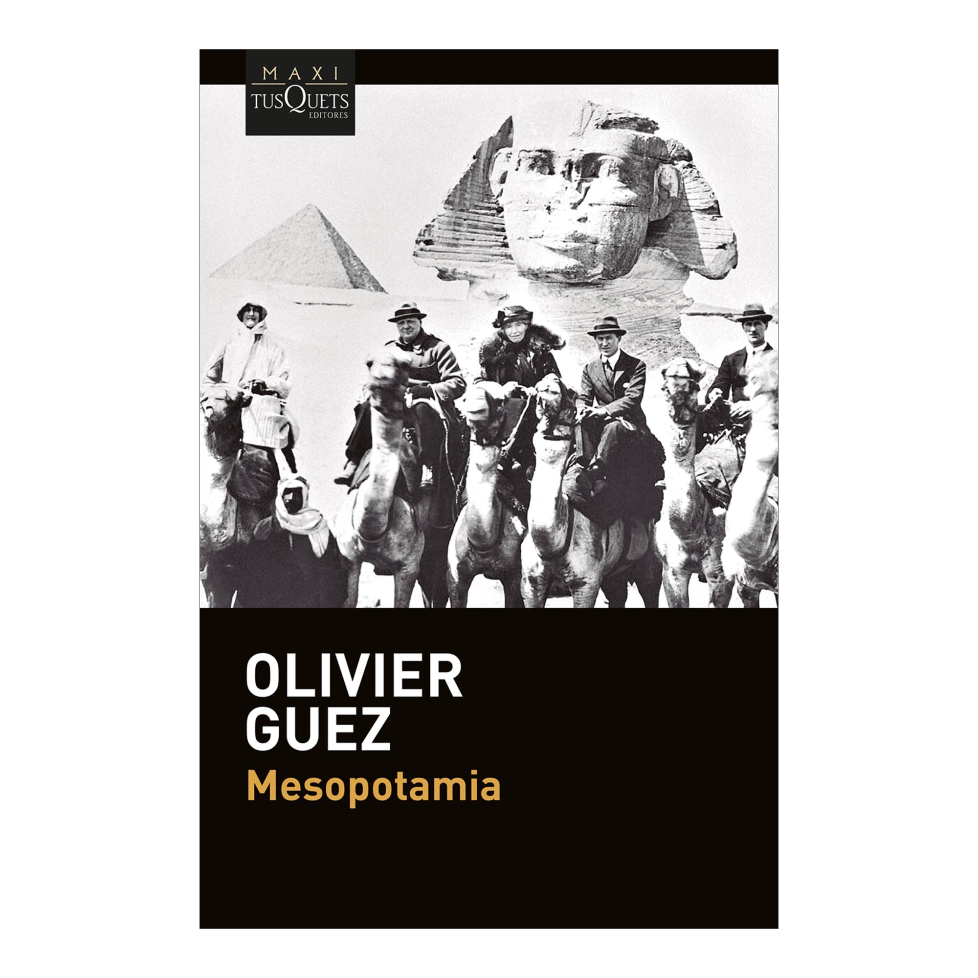 Imagem 0 de MESOPOTAMIA (Bolso Capa Mole)