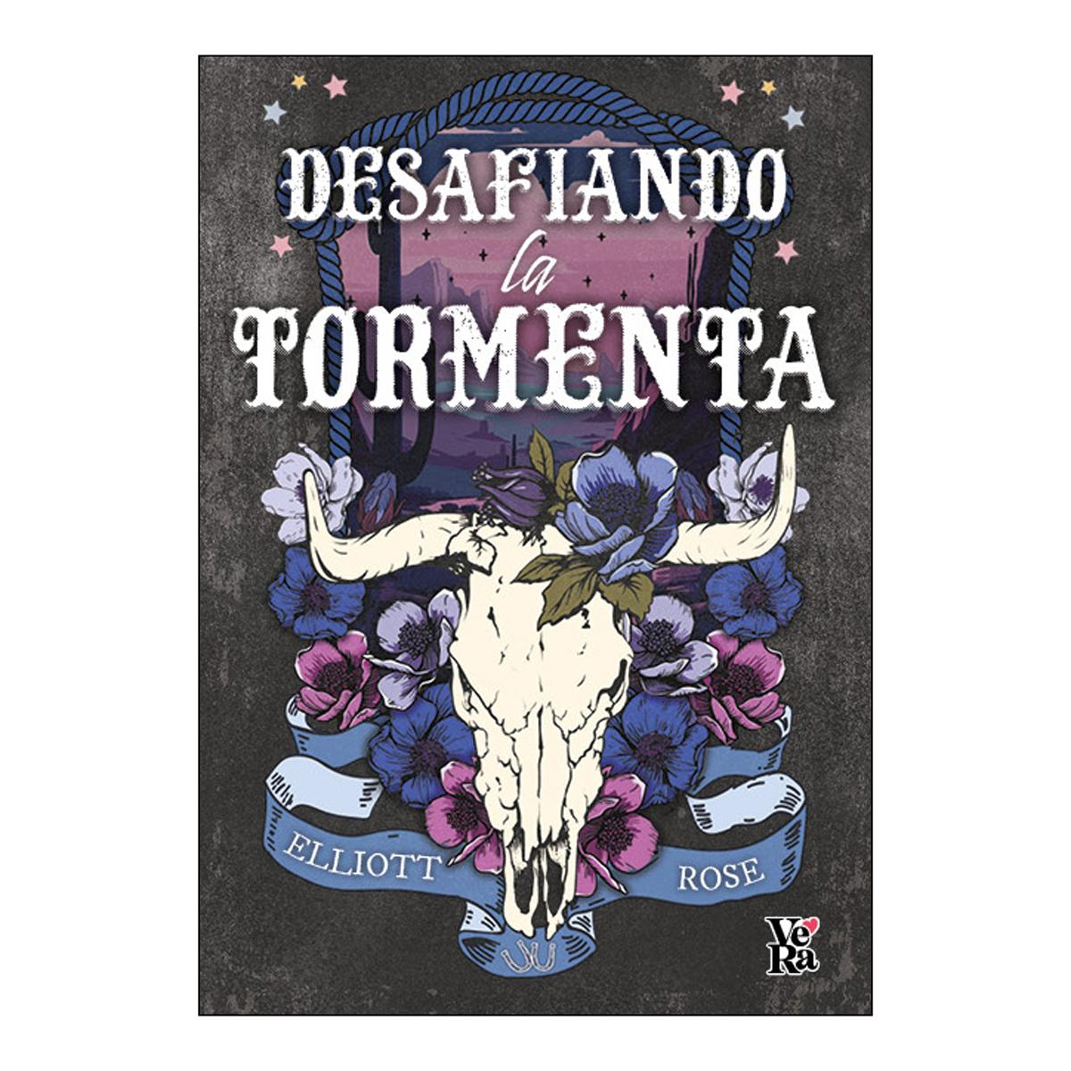 Imagen 0 de DESAFIANDO LA TORMENTA (Tapa blanda Tapa blanda con solapas)
