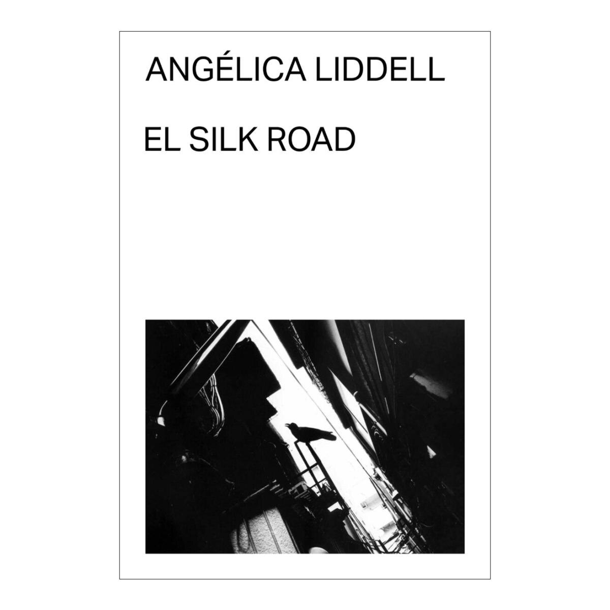 Imagen 0 de El Silk Road (Tapa blanda)