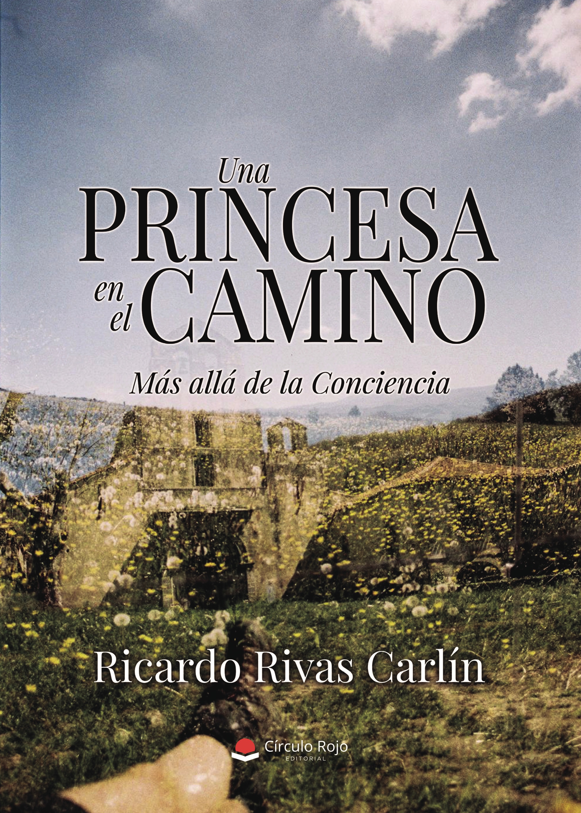 Una princesa en el camino