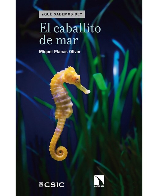 El Caballito De Mar 1