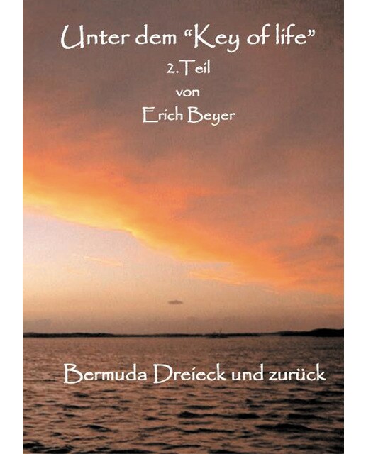 Unter dem "Key of life" 2.TeilTapa blanda 1