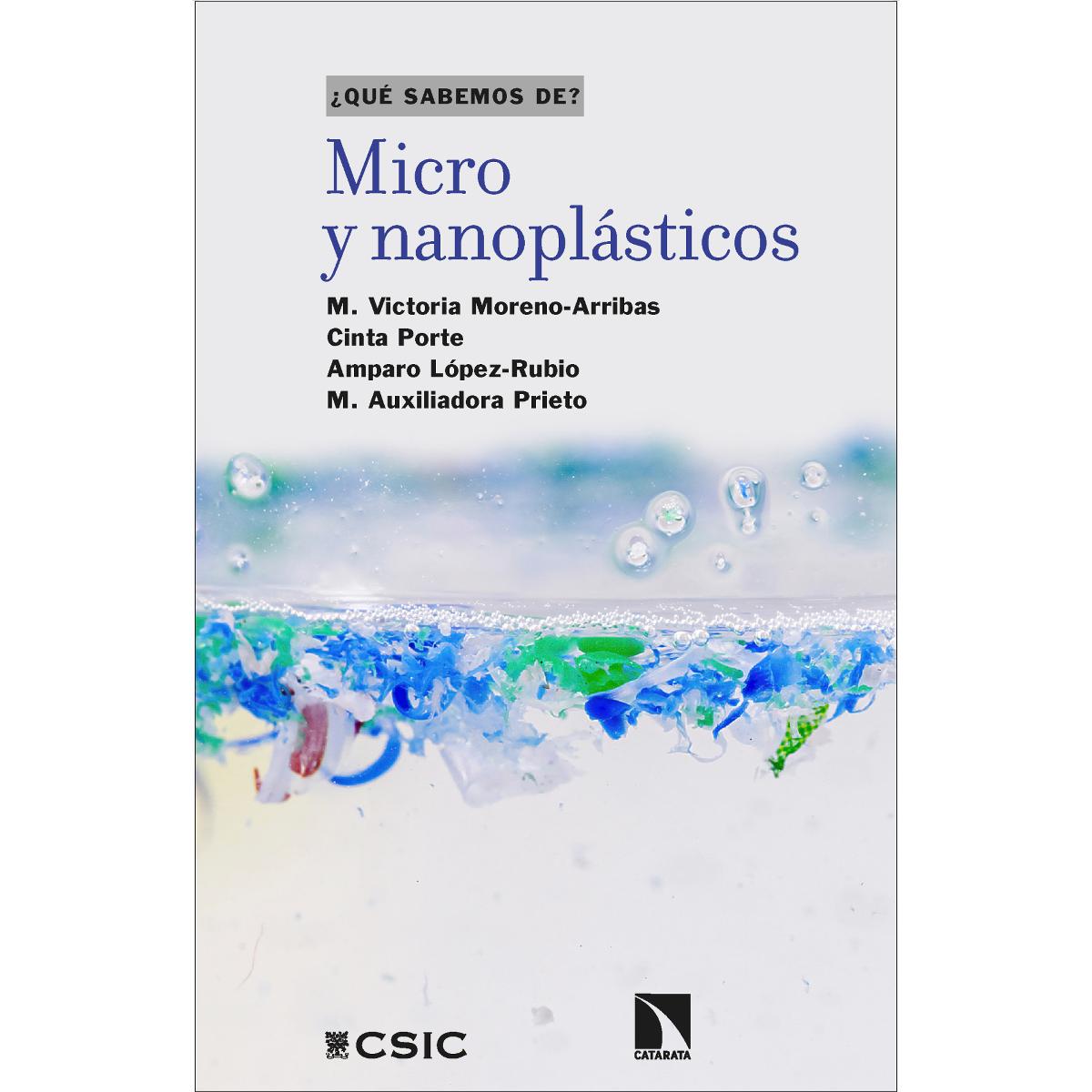 Micro y nanoplásticos : riesgos y desafíos (Capa mole com abas) 1